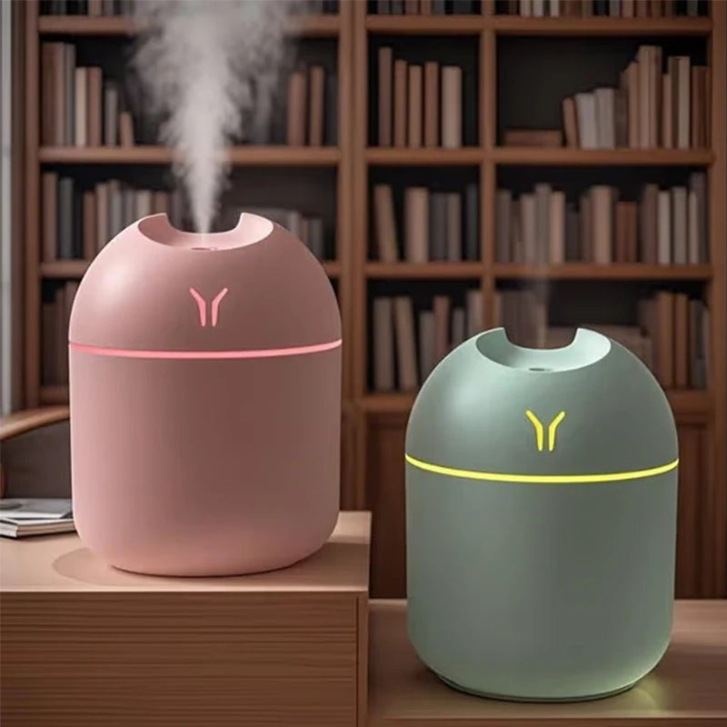 Portable Mini Humidifier –