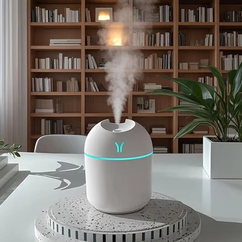 Portable Mini Humidifier –