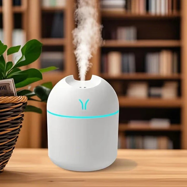 Portable Mini Humidifier –