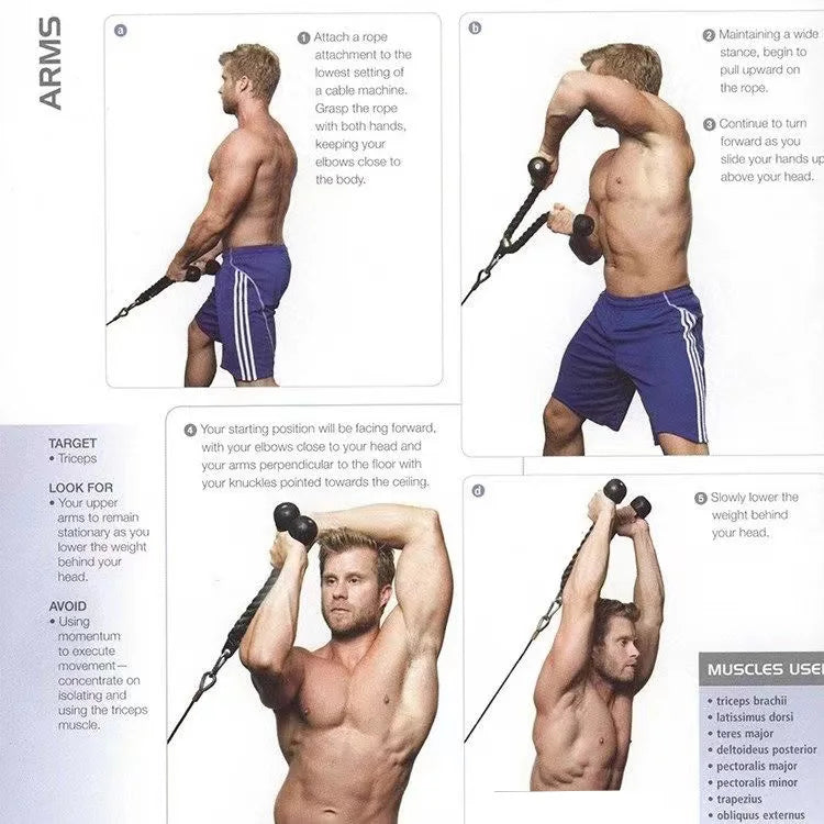 Triceps Lowering Rope with Handles